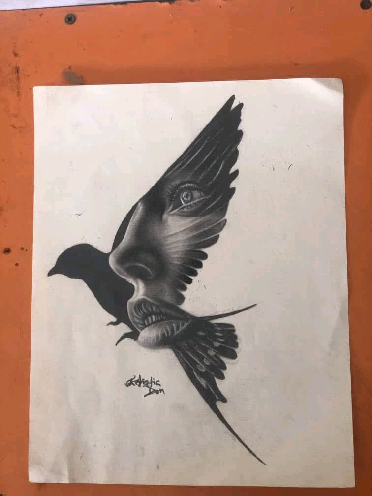 Vision